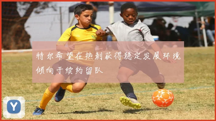 特尔希望在热刺获得稳定发展环境倾向于续约留队